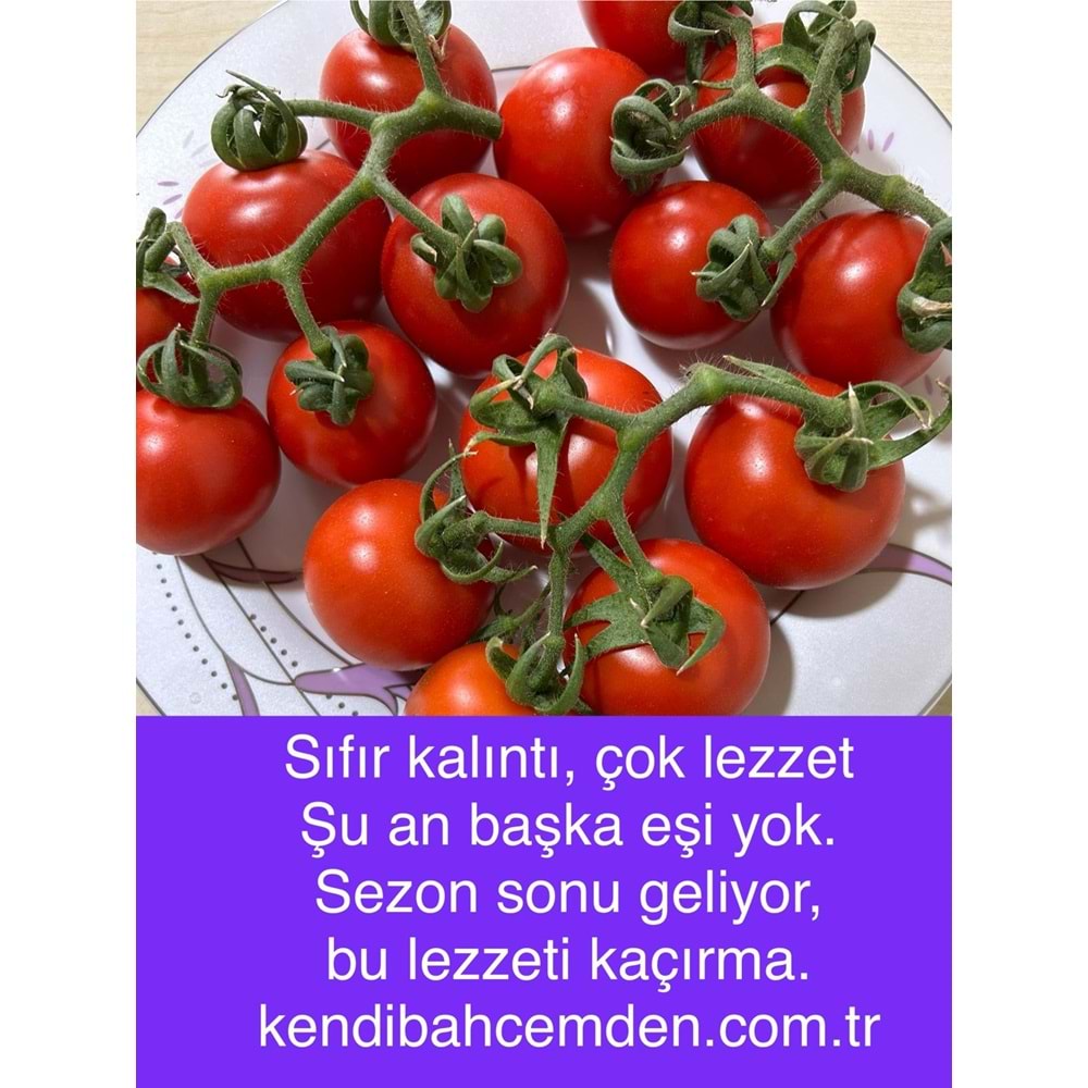 10 Kg Salkım Domates Kargo Dahil